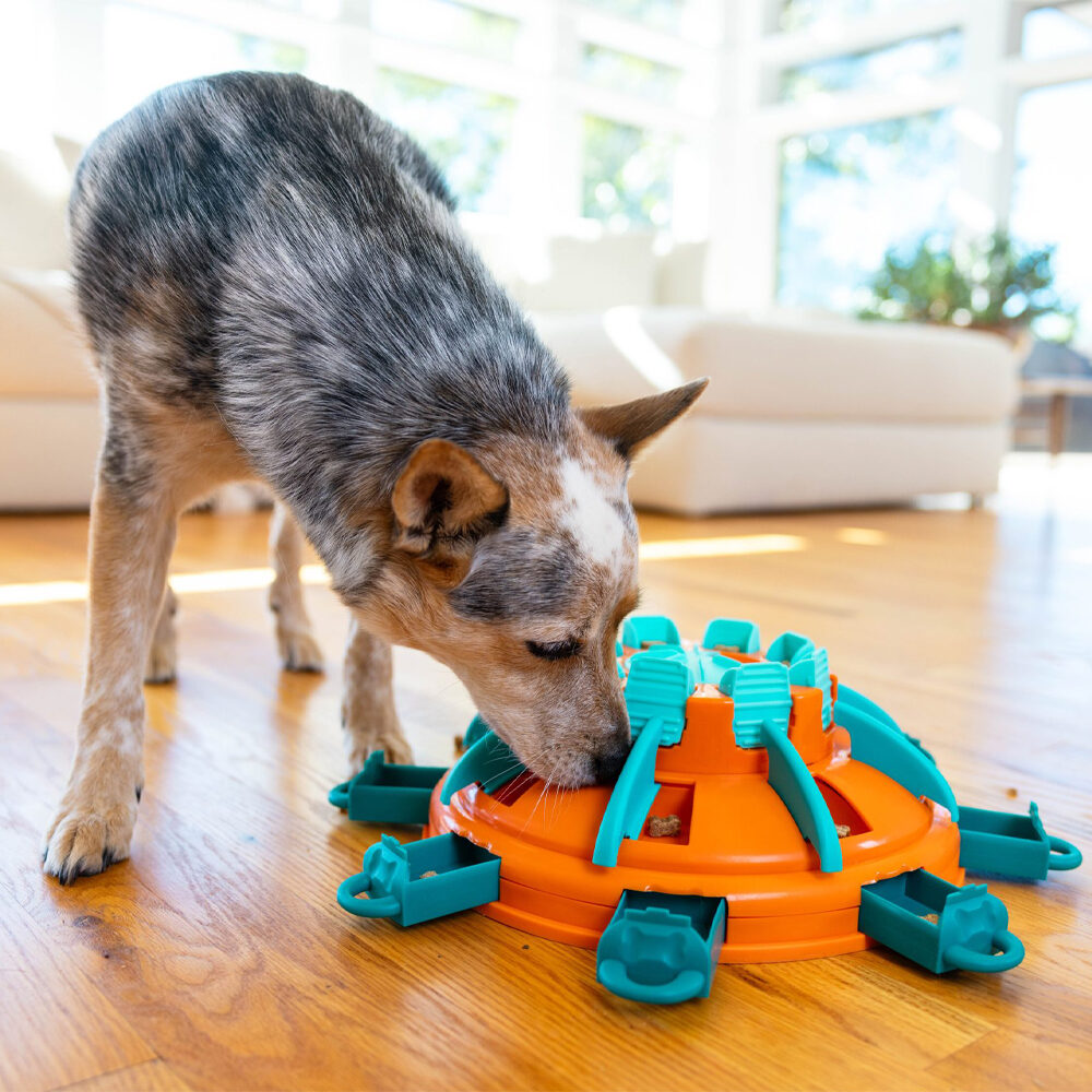 Nina Ottosson Tower of Treats