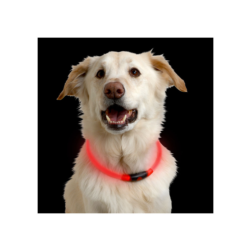Nite ize nitehowl led safety necklace shop