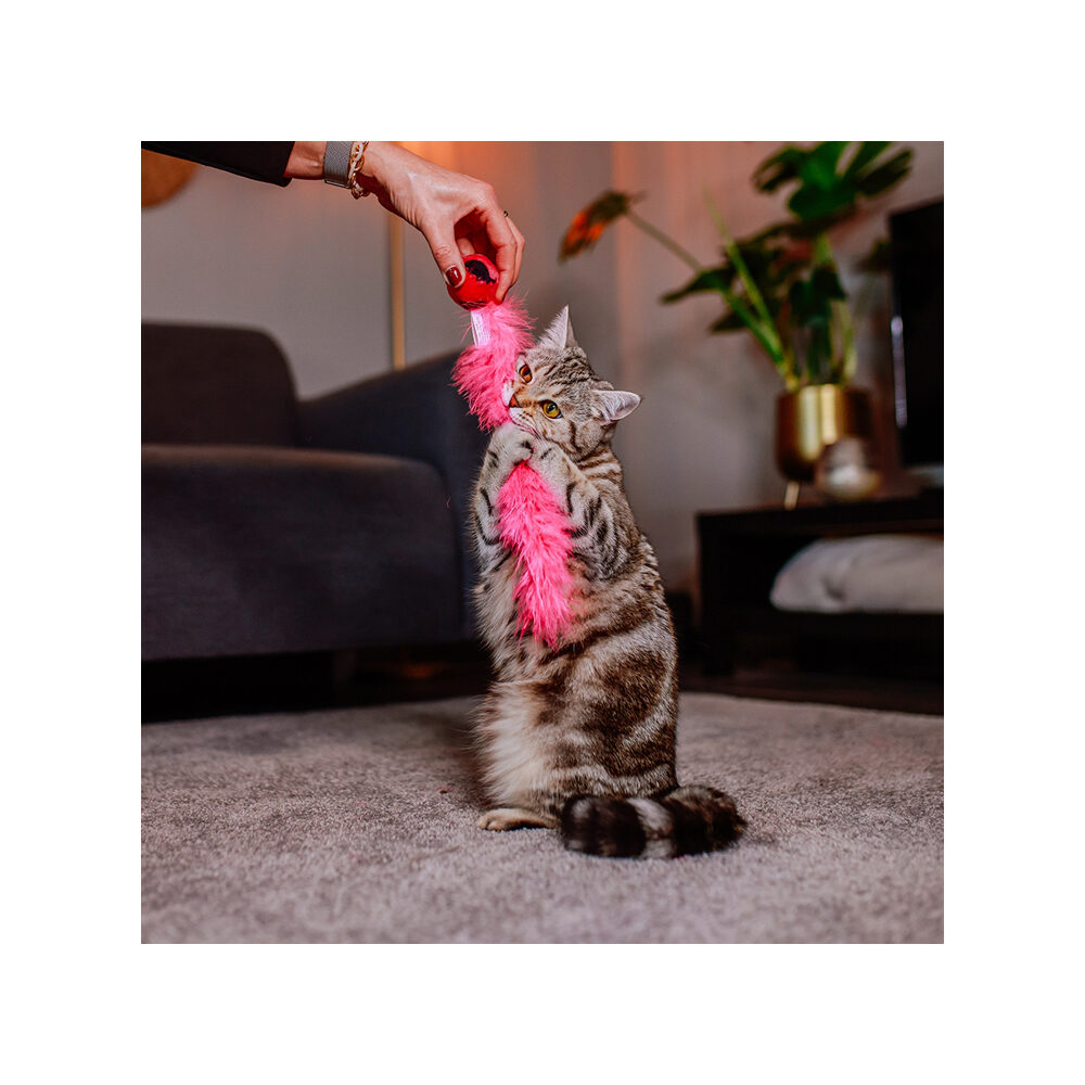 Nobby Feather Ball Cat Toy