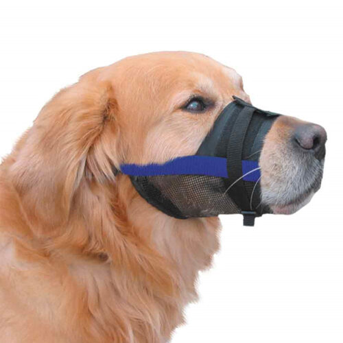 Nobby Verstelbare Muilkorf - Blauw - 1