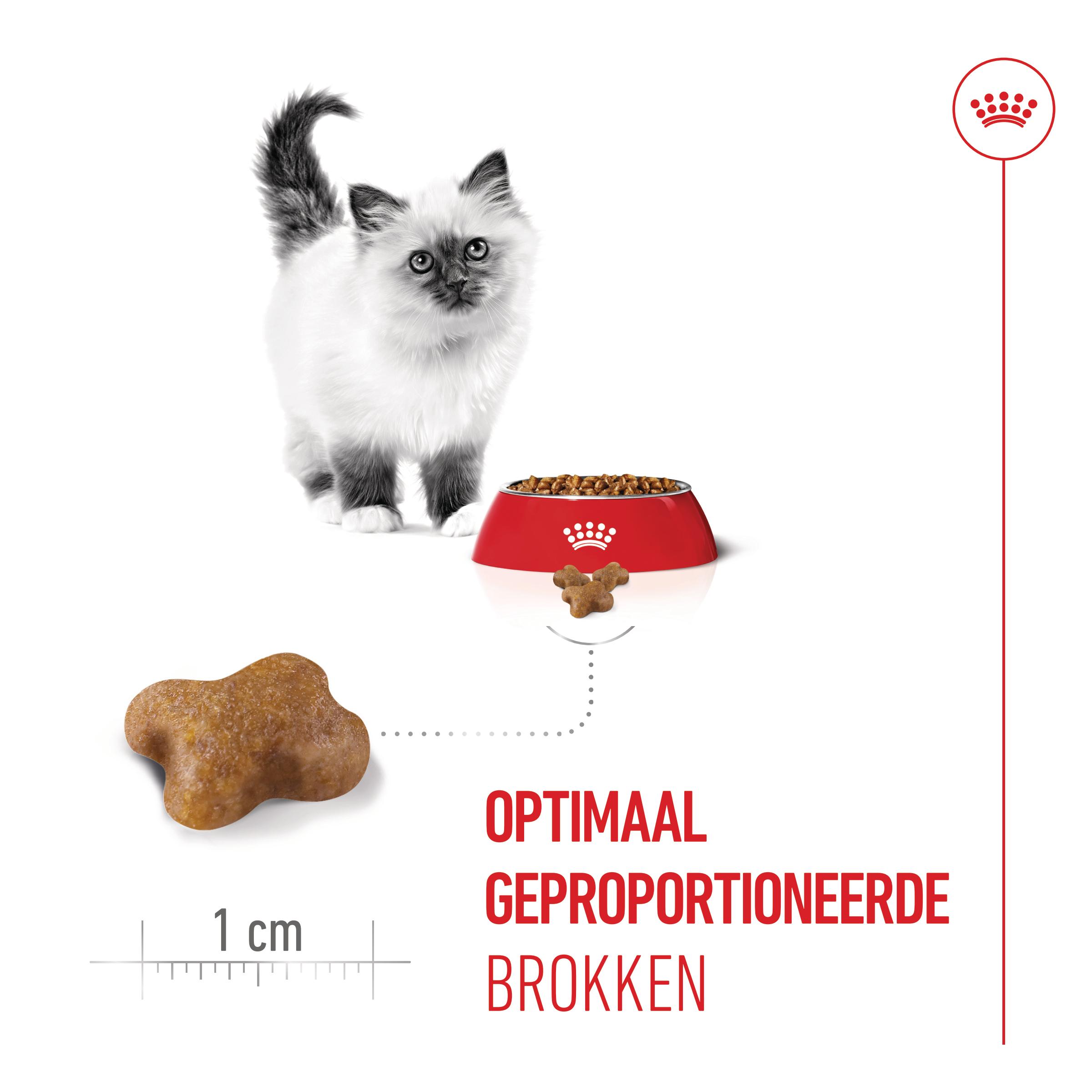 Royal Canin Kitten - Kattenvoer