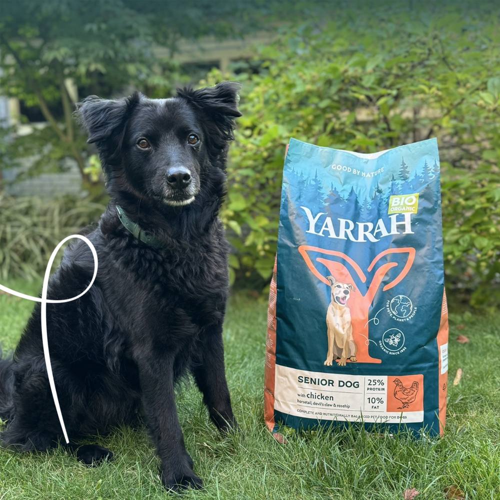 Yarrah - Dry Food for Senior Dogs Bio