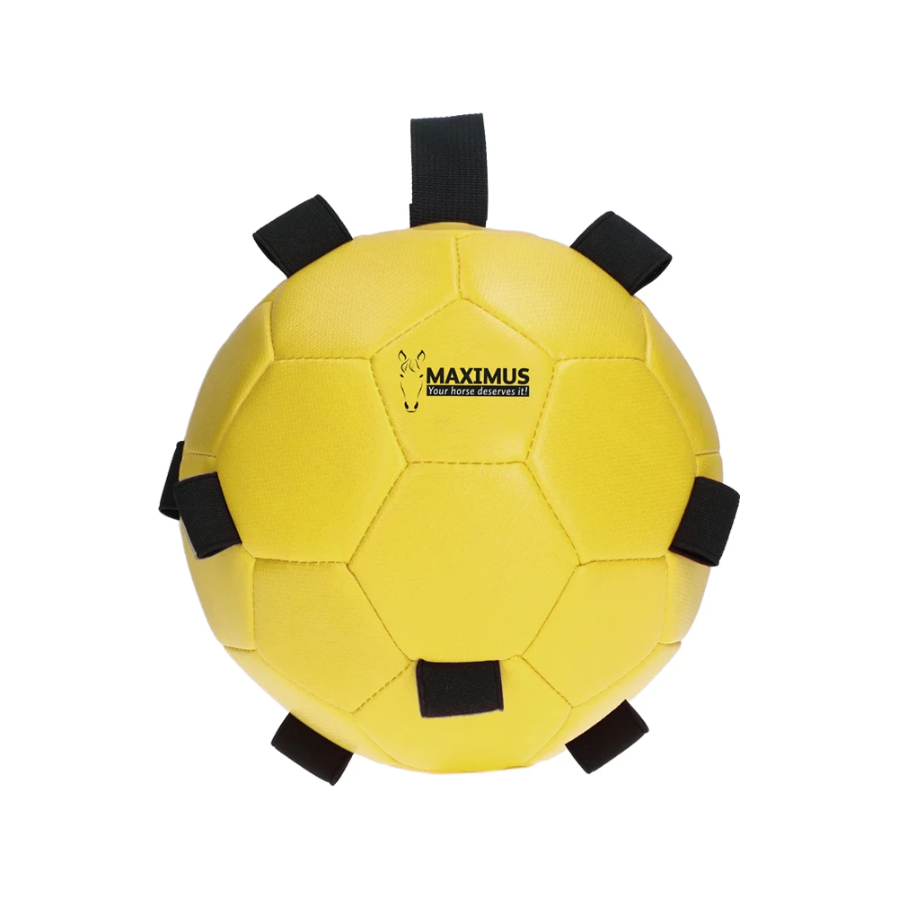 Excellent Horse Fun Play Ball