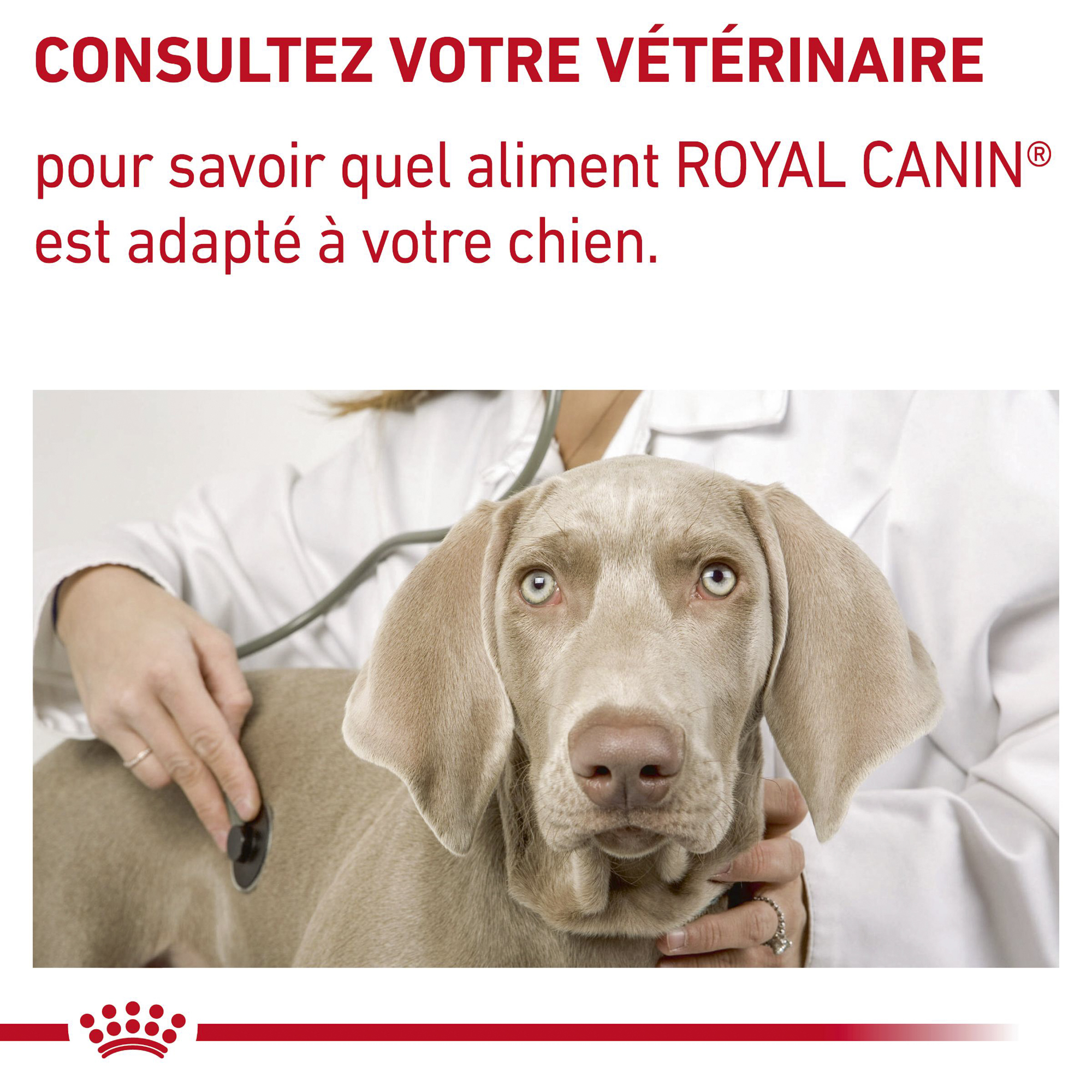 Royal Canin VCN Neutered Junior Large Dog