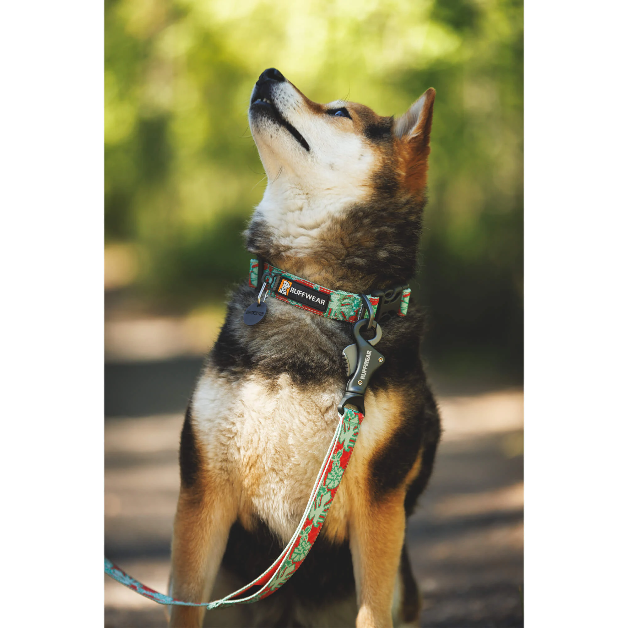 Ruffwear Crag Collar