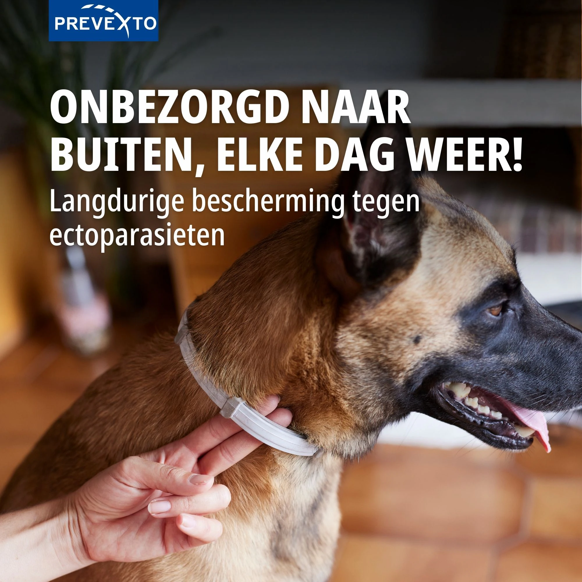 Virbac PreveXto Halsband Hond