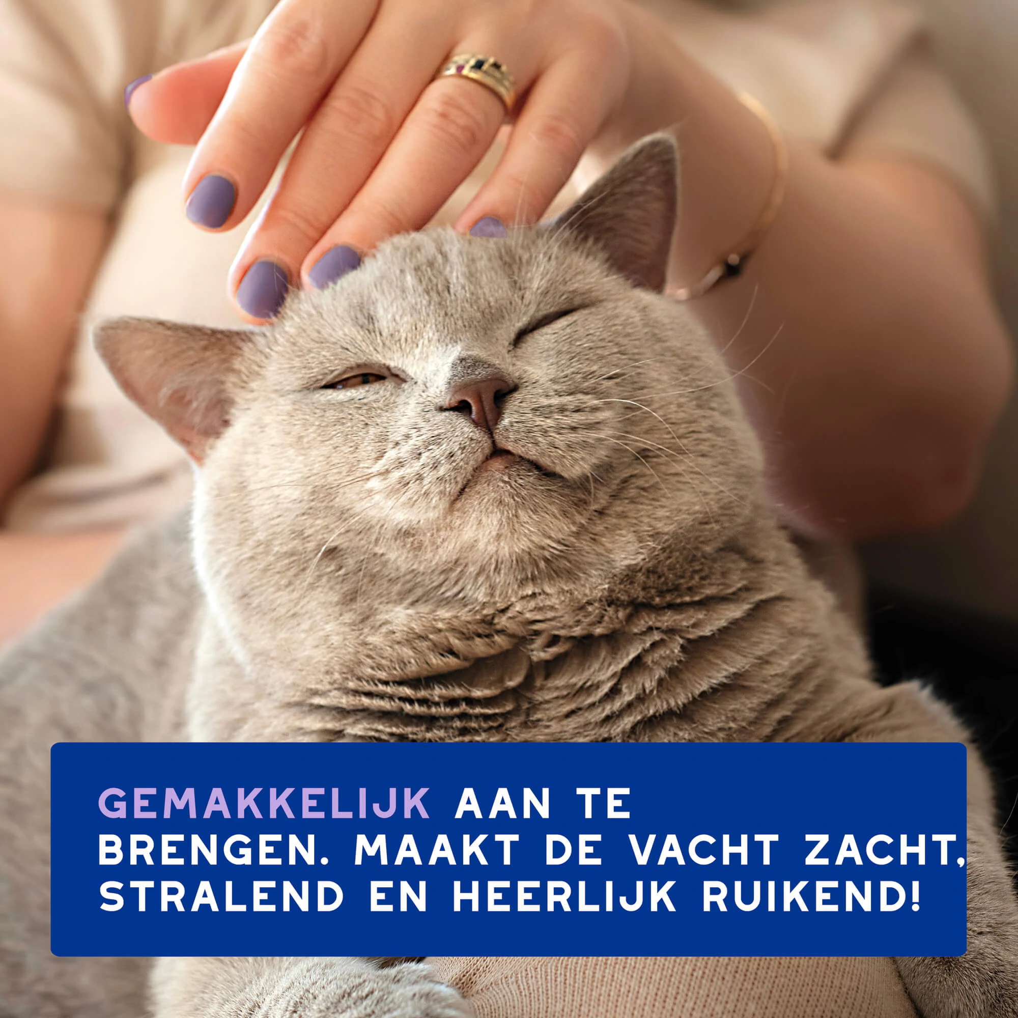 Douxo Spa Cat Mousse