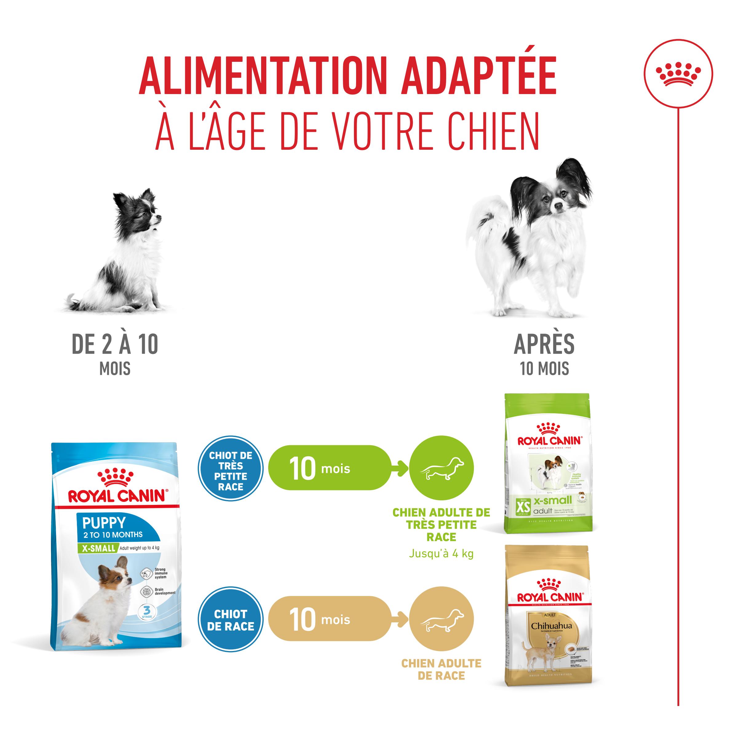 Royal Canin X-Small Puppy