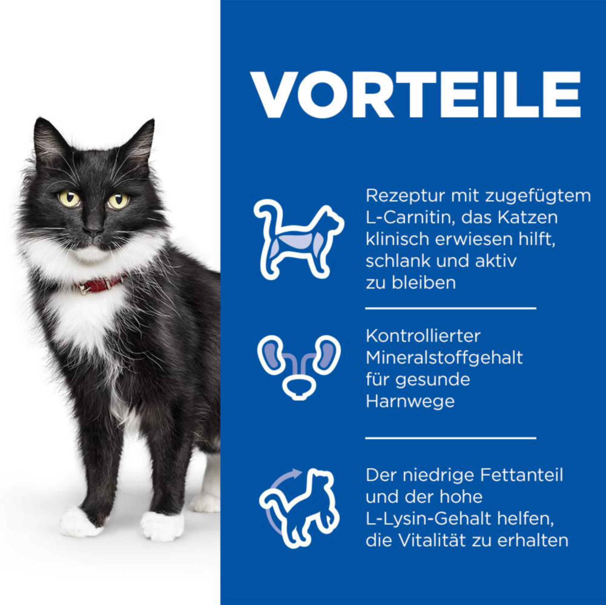 Hill's Science Plan Mature Adult - Sterilised - Favourite Selection - Portionsbeutel