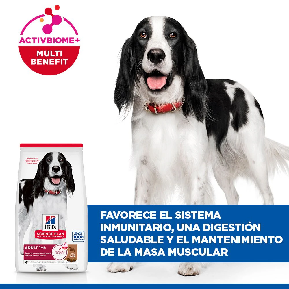 Hill's Science Plan Medium - Adult - Cordero y Arroz