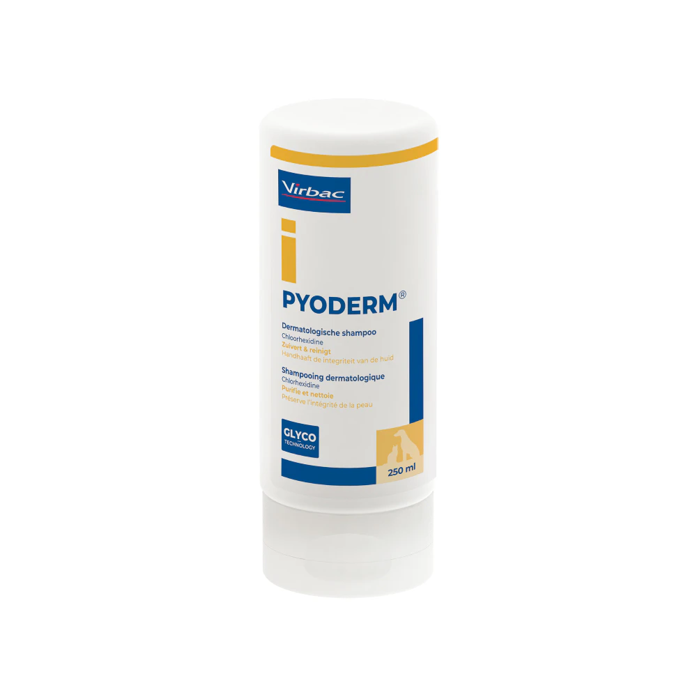 Pyoderm Shampoo