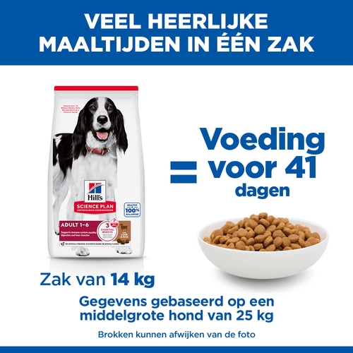 Hill's Science Plan Medium - Adult - Lam & Rijst
