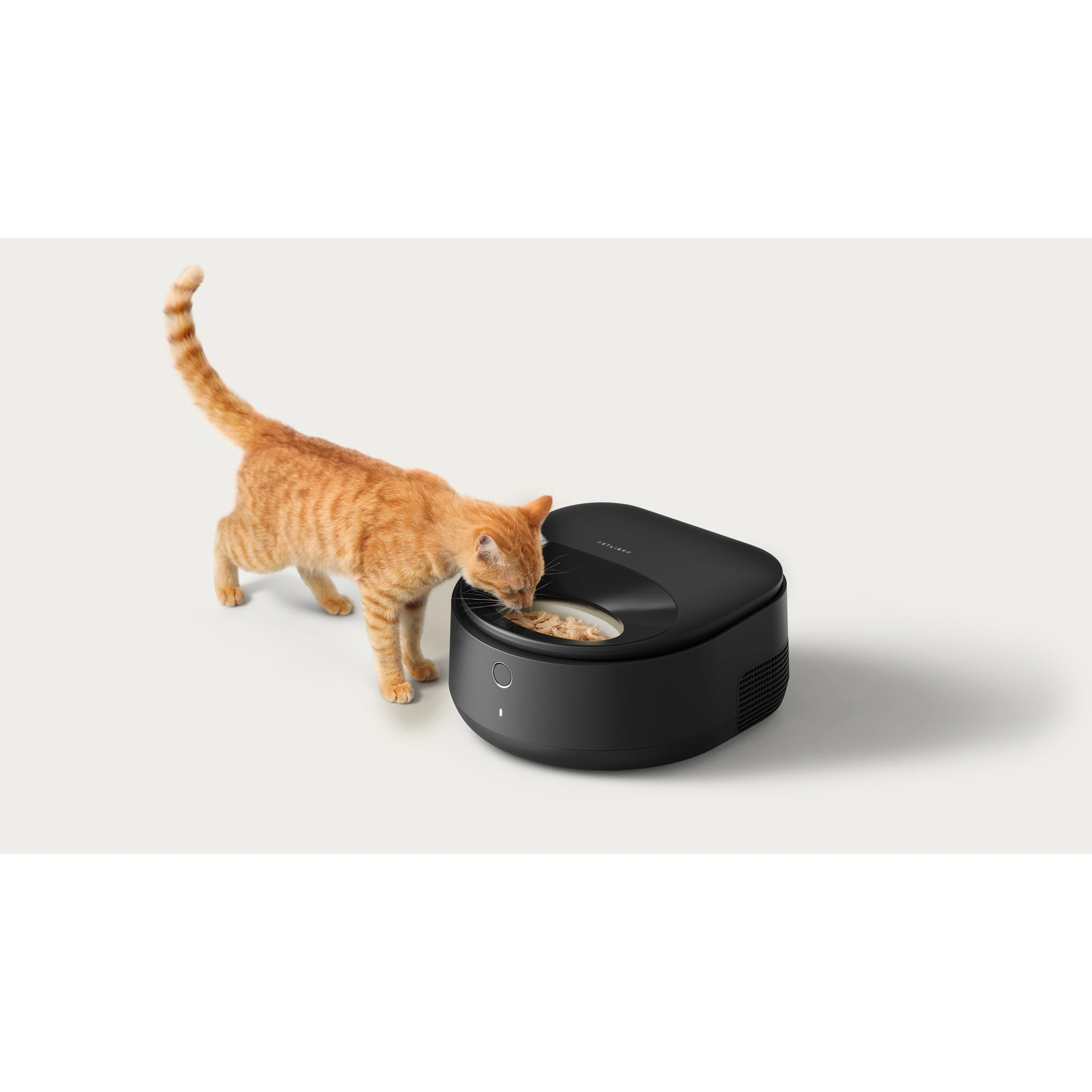 Petlibro Polar Wet Food Feeder