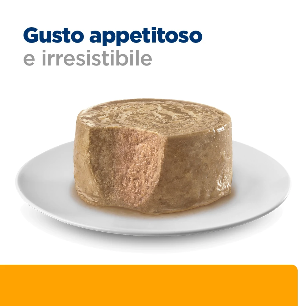 Hill's c/d Multicare - Prescription Diet - Gatto - Mousse