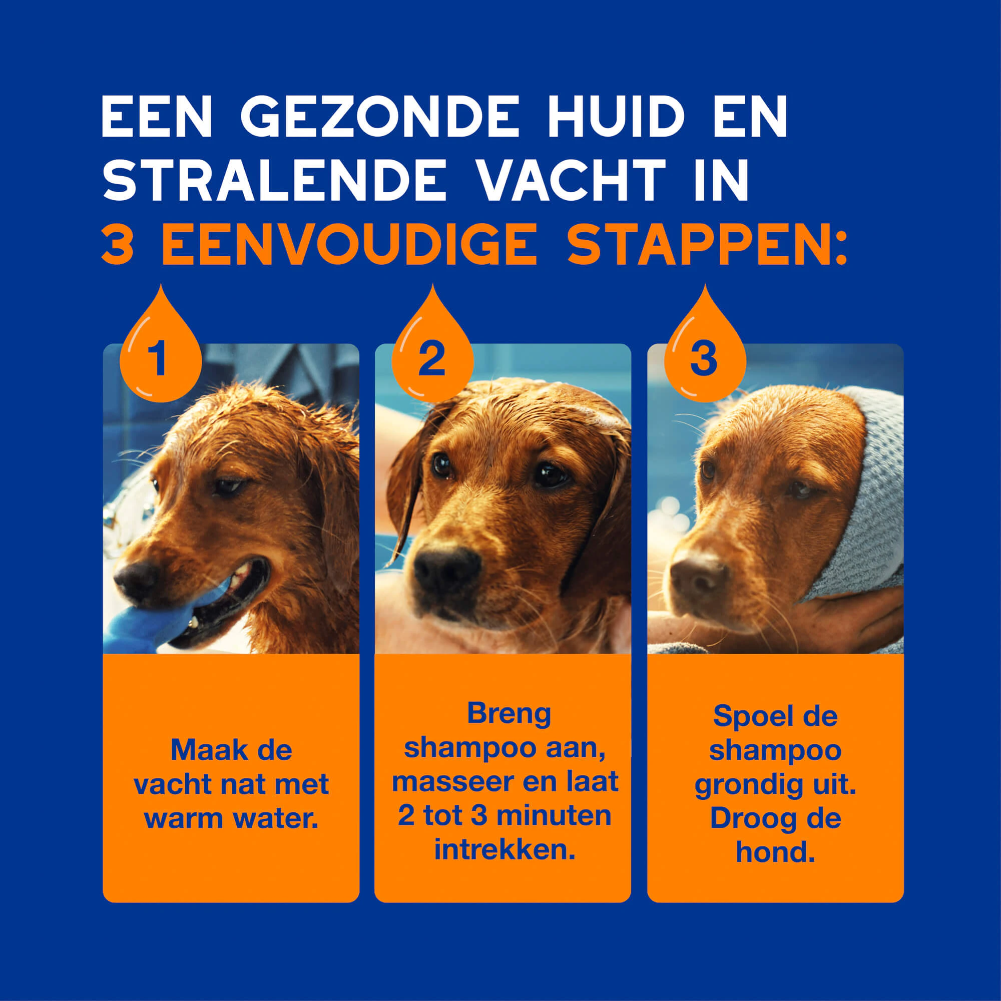 Douxo Spa Shampoo & Conditioner