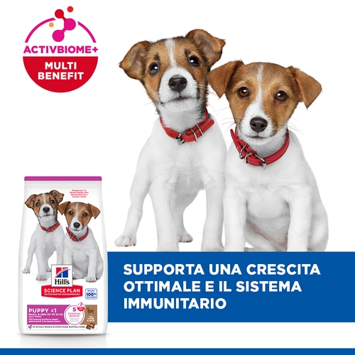 Hill's Science Plan Small & Mini - Puppy - Agnello e Riso