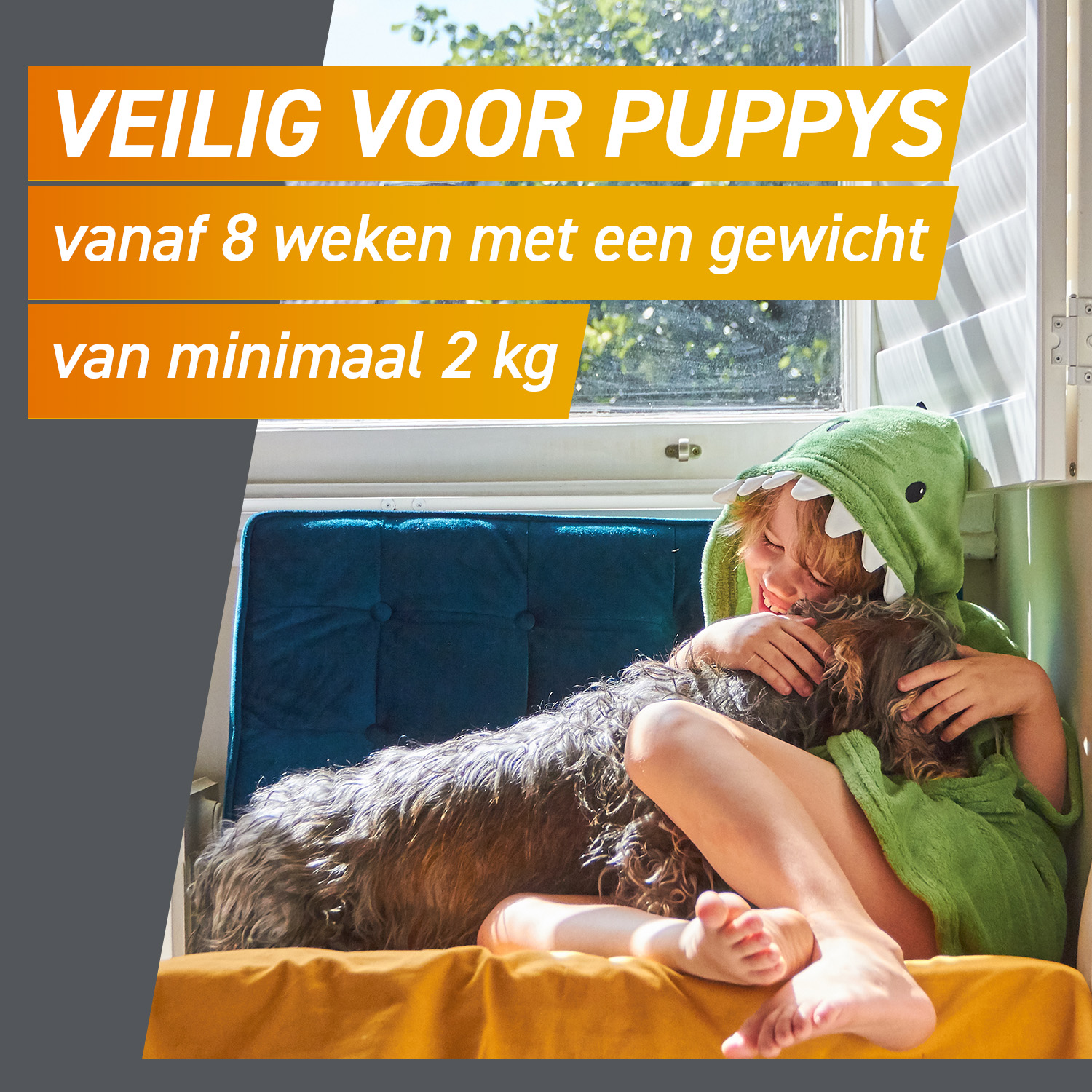 FRONTPRO Kauwtabletten Hond