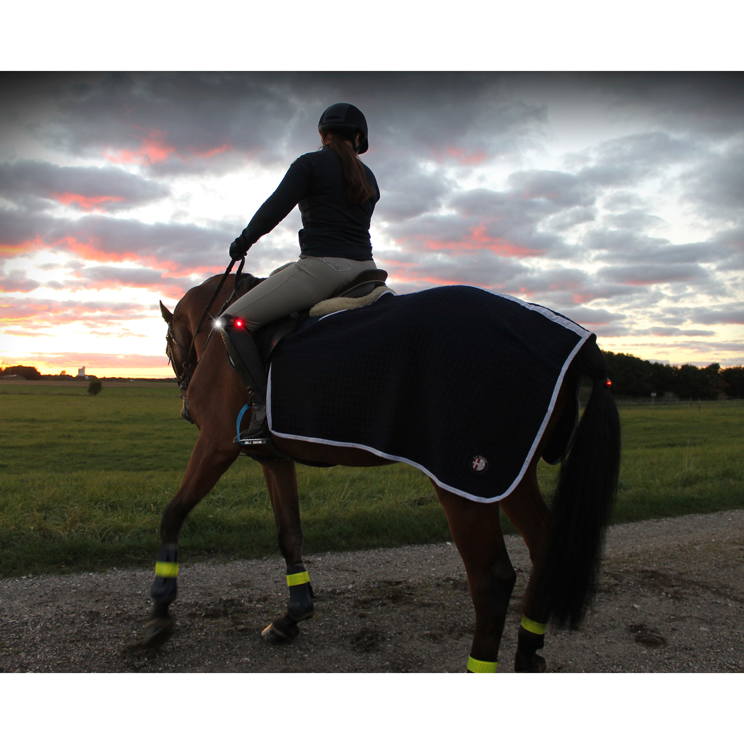 Orbiloc Twin Pack Horse