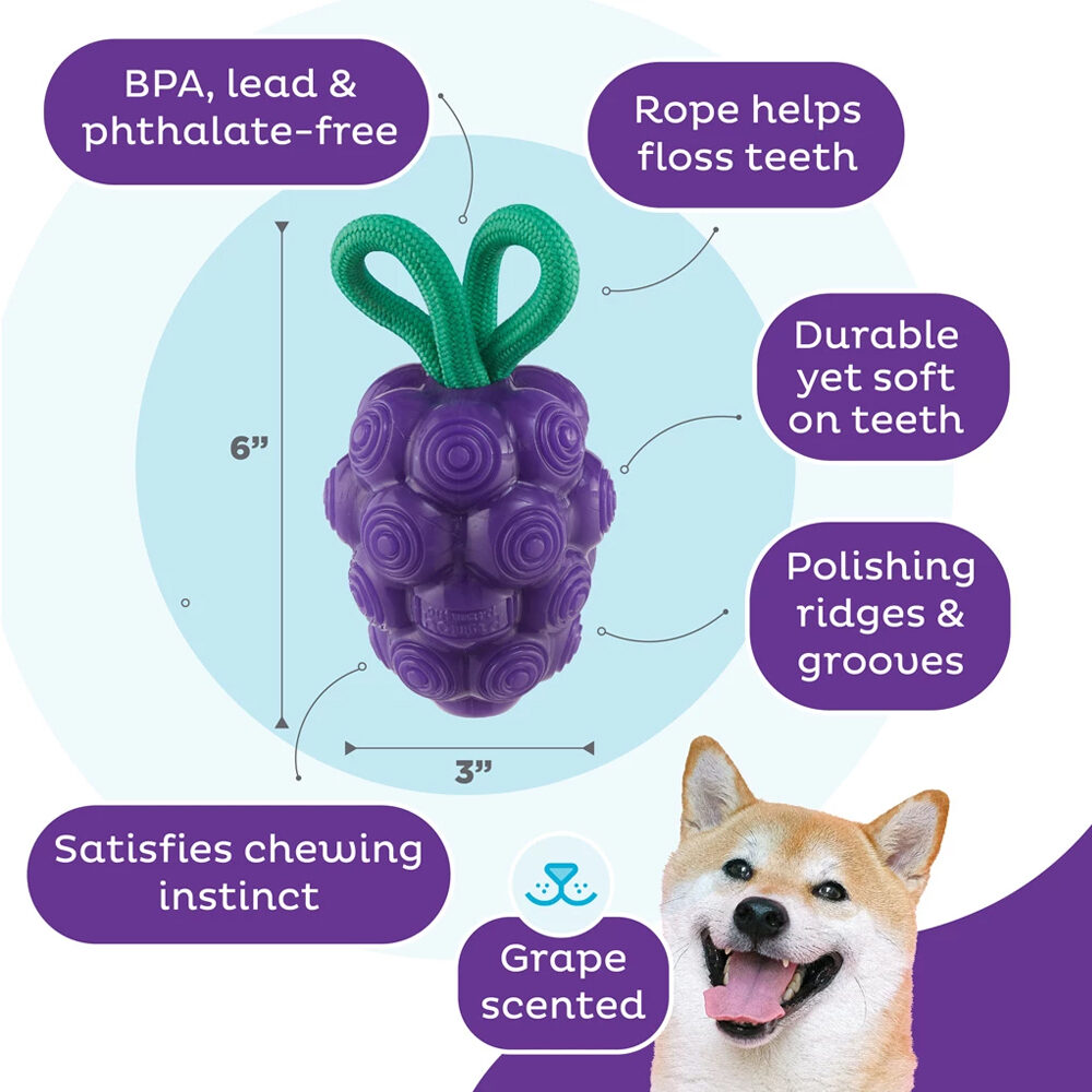 Outward Hound Dental Grapes