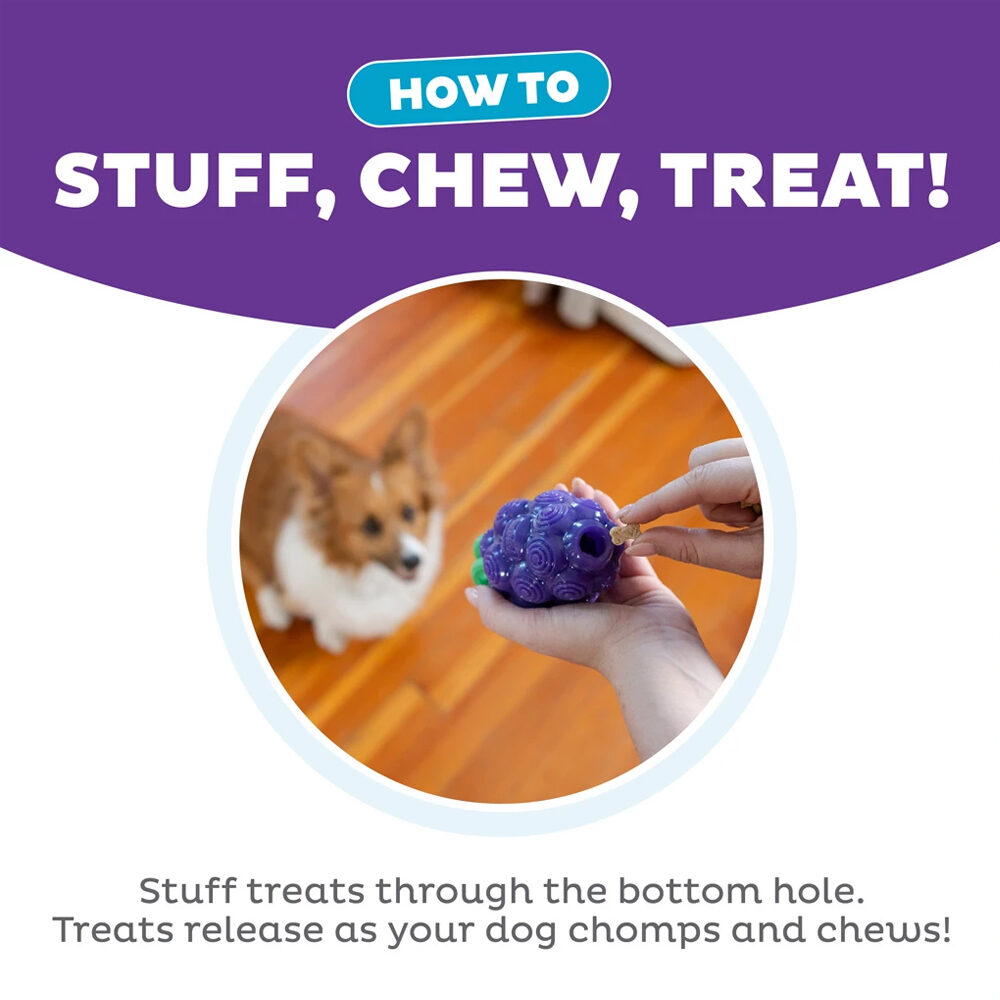Outward Hound Dental Grapes
