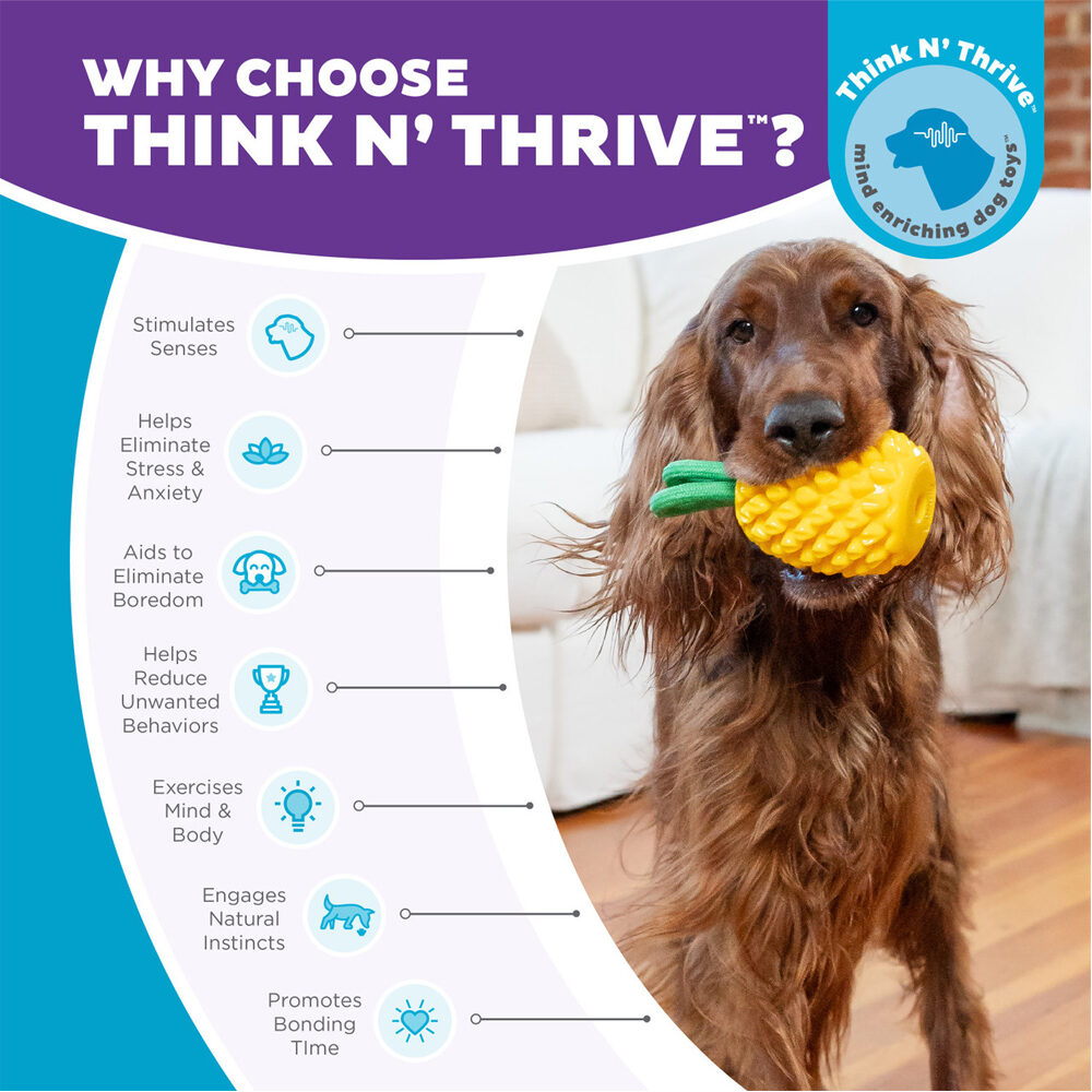 Outward Hound Dental Pineapple