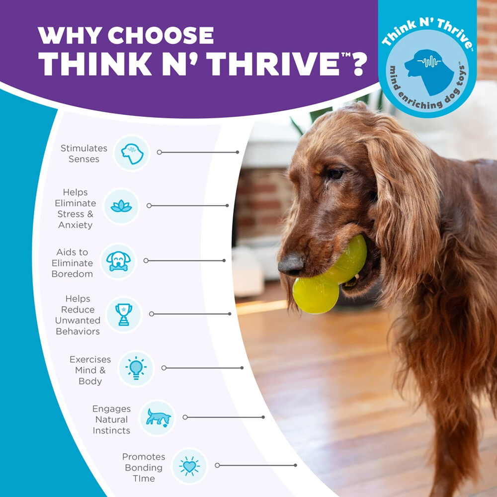 Outward Hound Double-Tuff