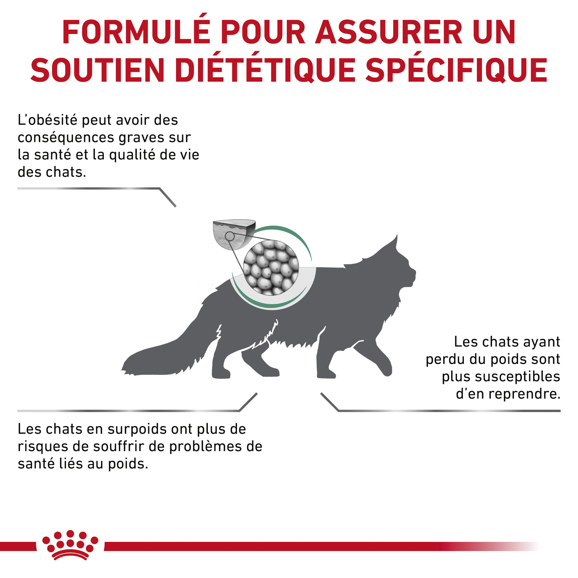 Royal Canin Satiety - Chat