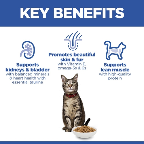 Hill's Science Plan Adult - Lamb