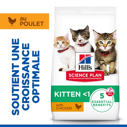 Hill's Science Plan Kitten - Poulet