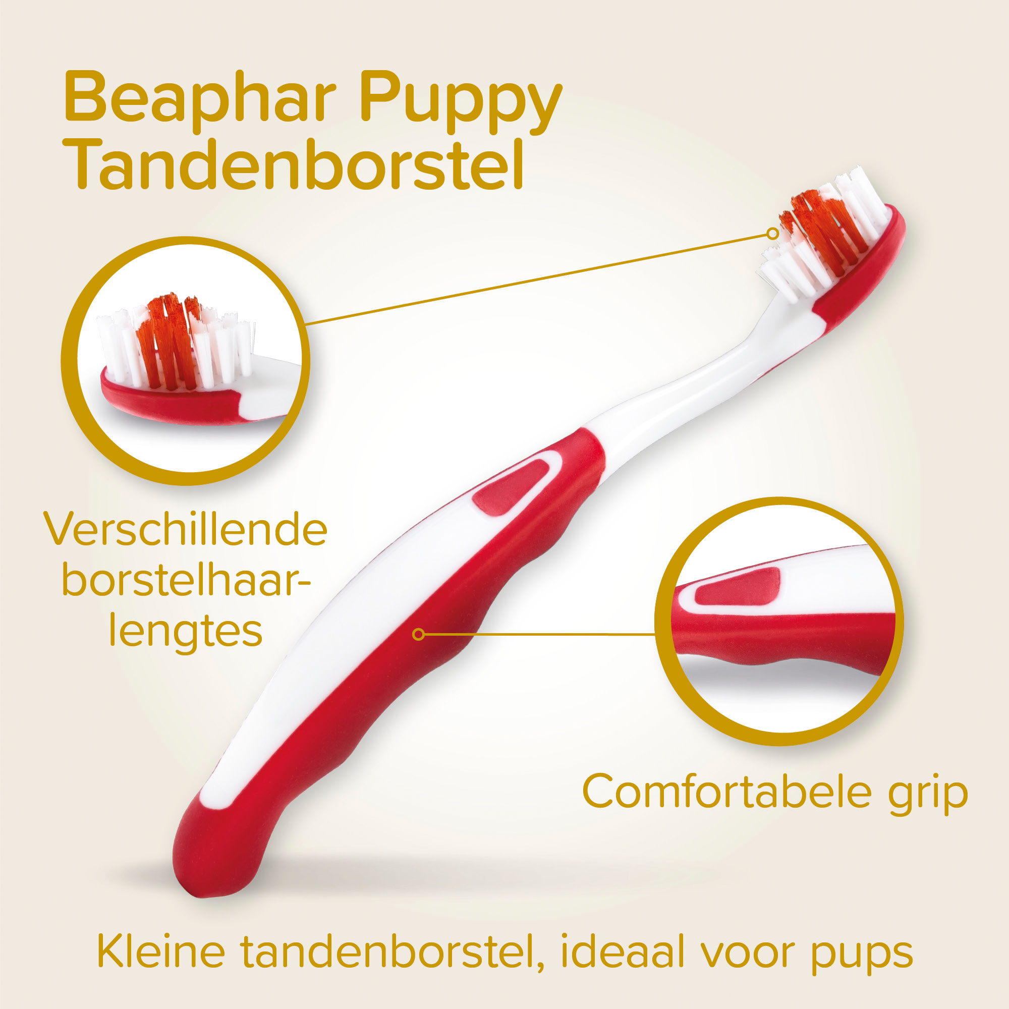 Beaphar Combi-pack Tandpasta & Tandenborstel