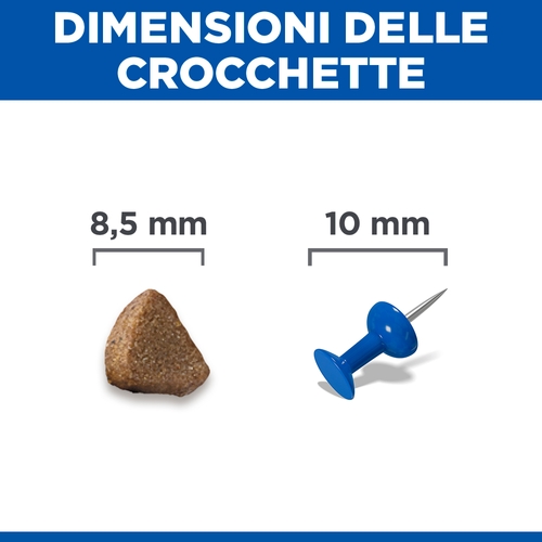 Hill's Science Plan - Kitten - Salmone