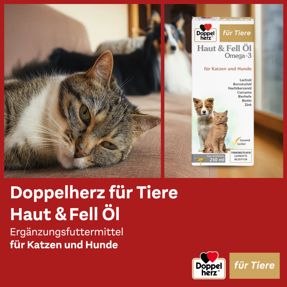 Doppelherz Haut & Fell Öl Omega-3 für Katzen und Hunde