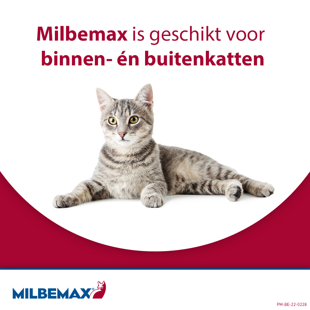 Milbemax Kat