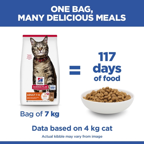 Hill's Science Plan Adult - Lamb