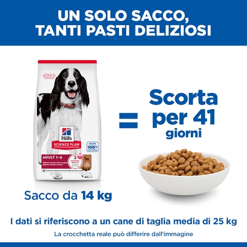 Hill's Science Plan Medium - Adult - Agnello e Riso