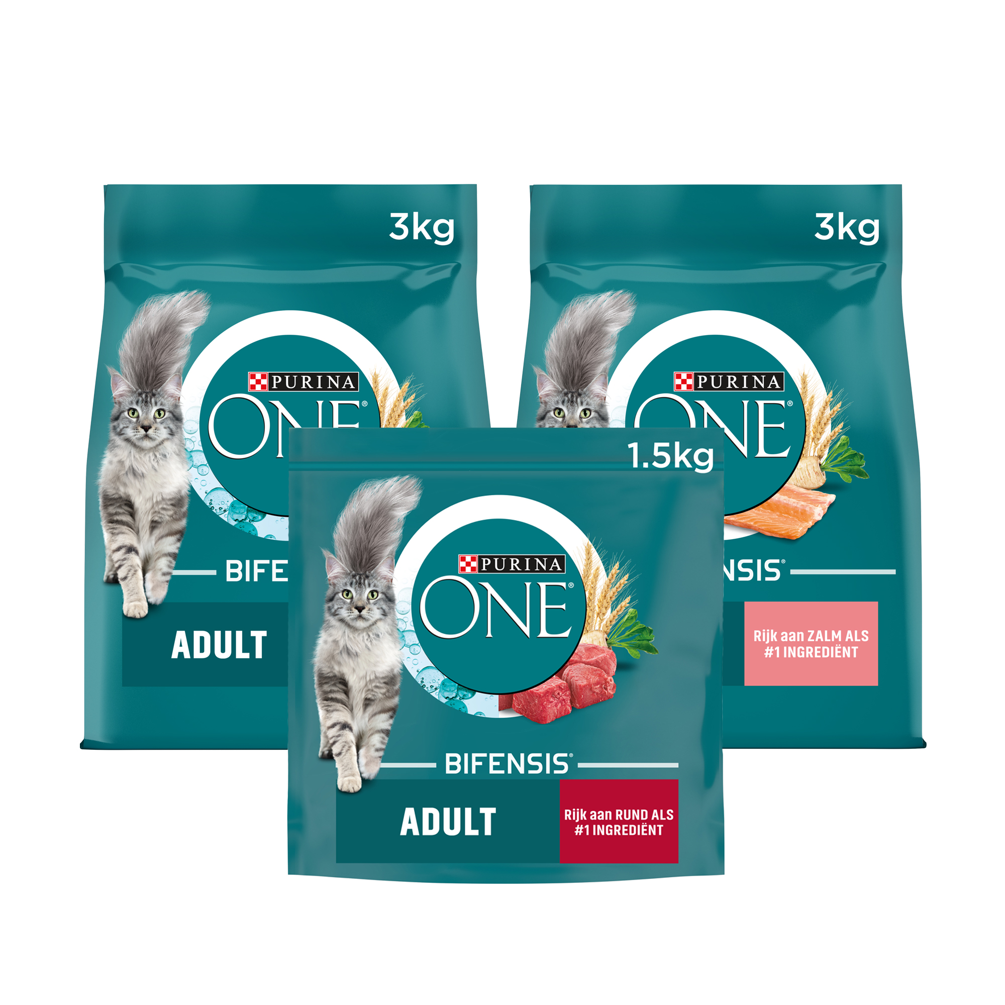 Purina one adult best sale