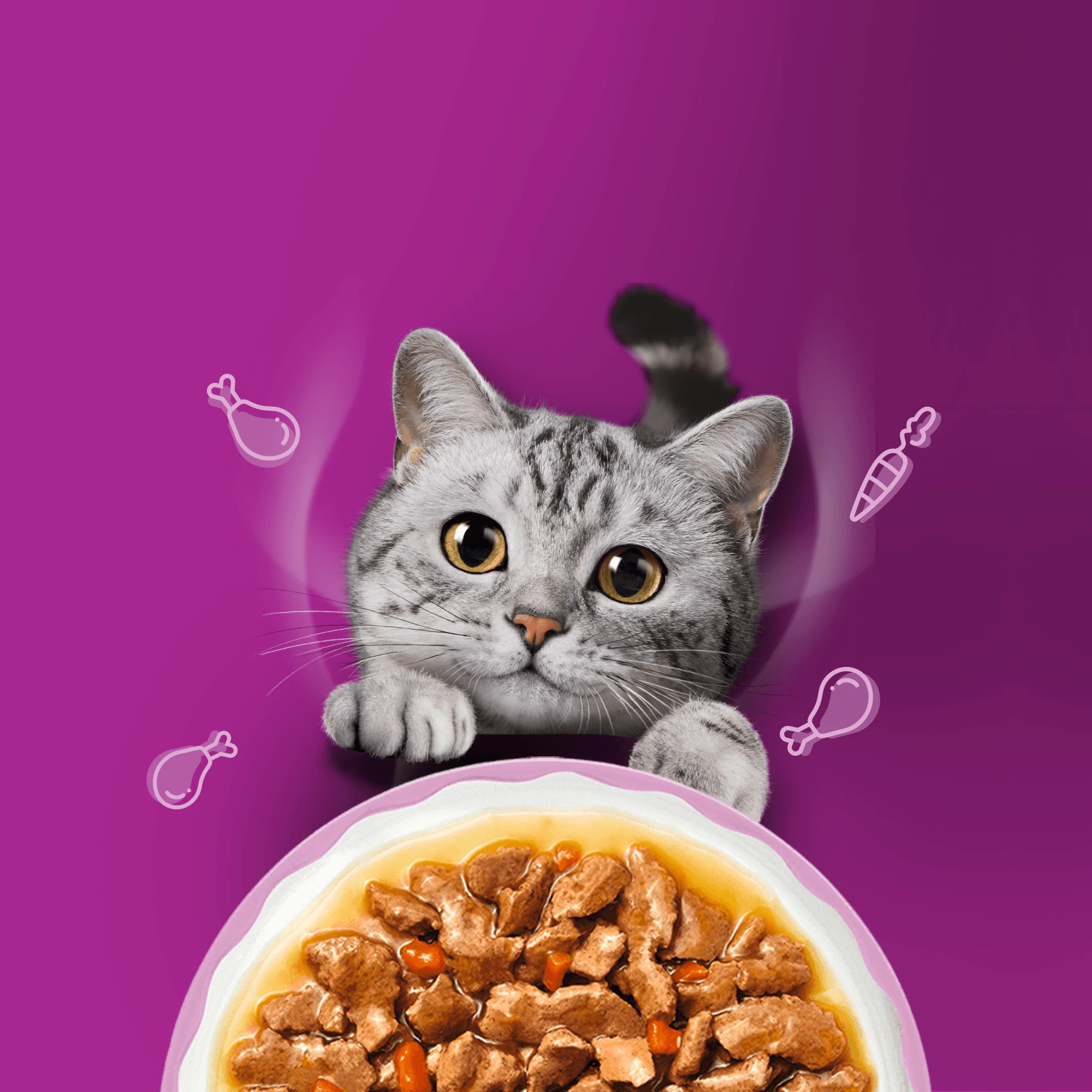 Whiskas 1+ Mokra karma - Aromatic Pyszne Kombinacje w sosie - Multipack