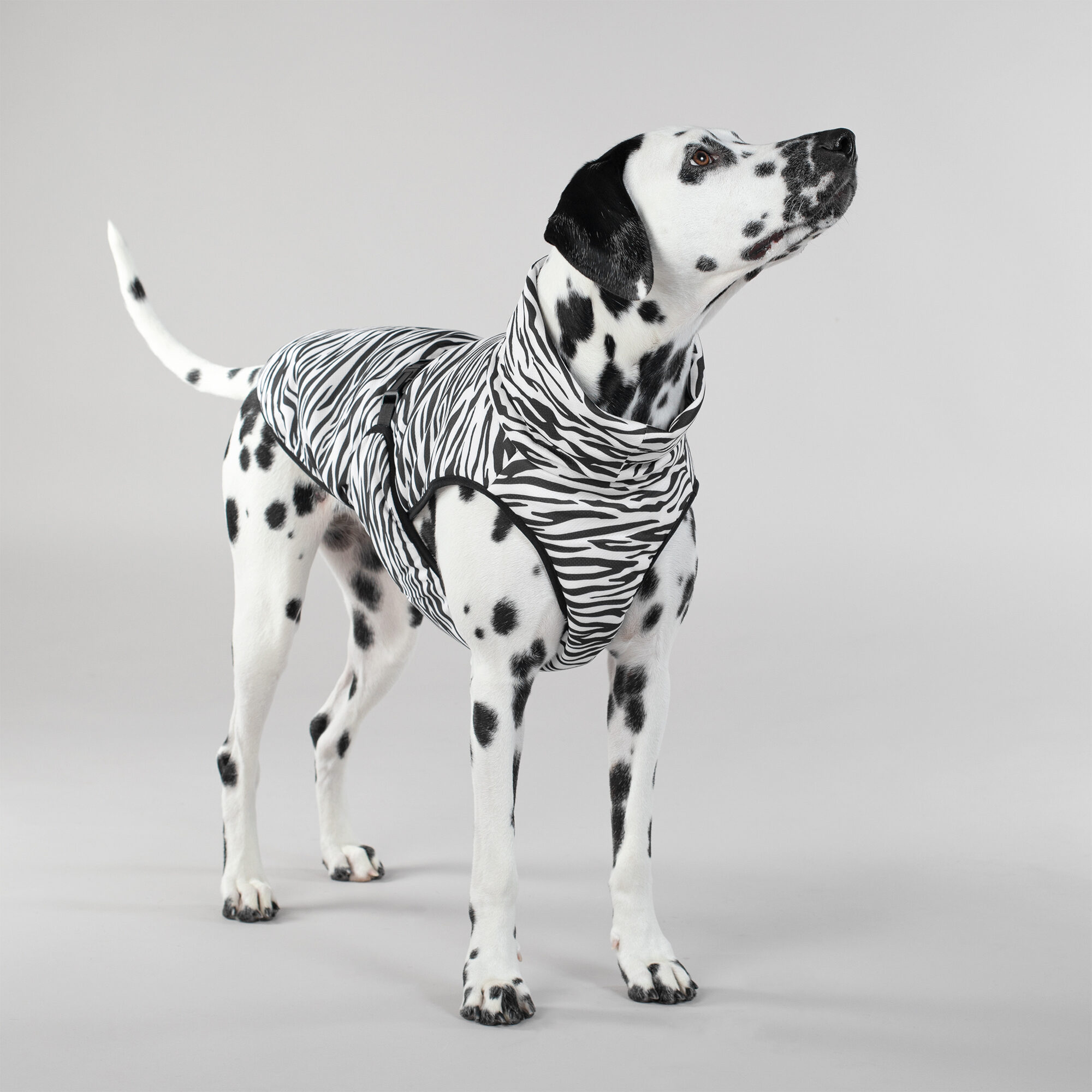 PAIKKA Cool & Bug Vest