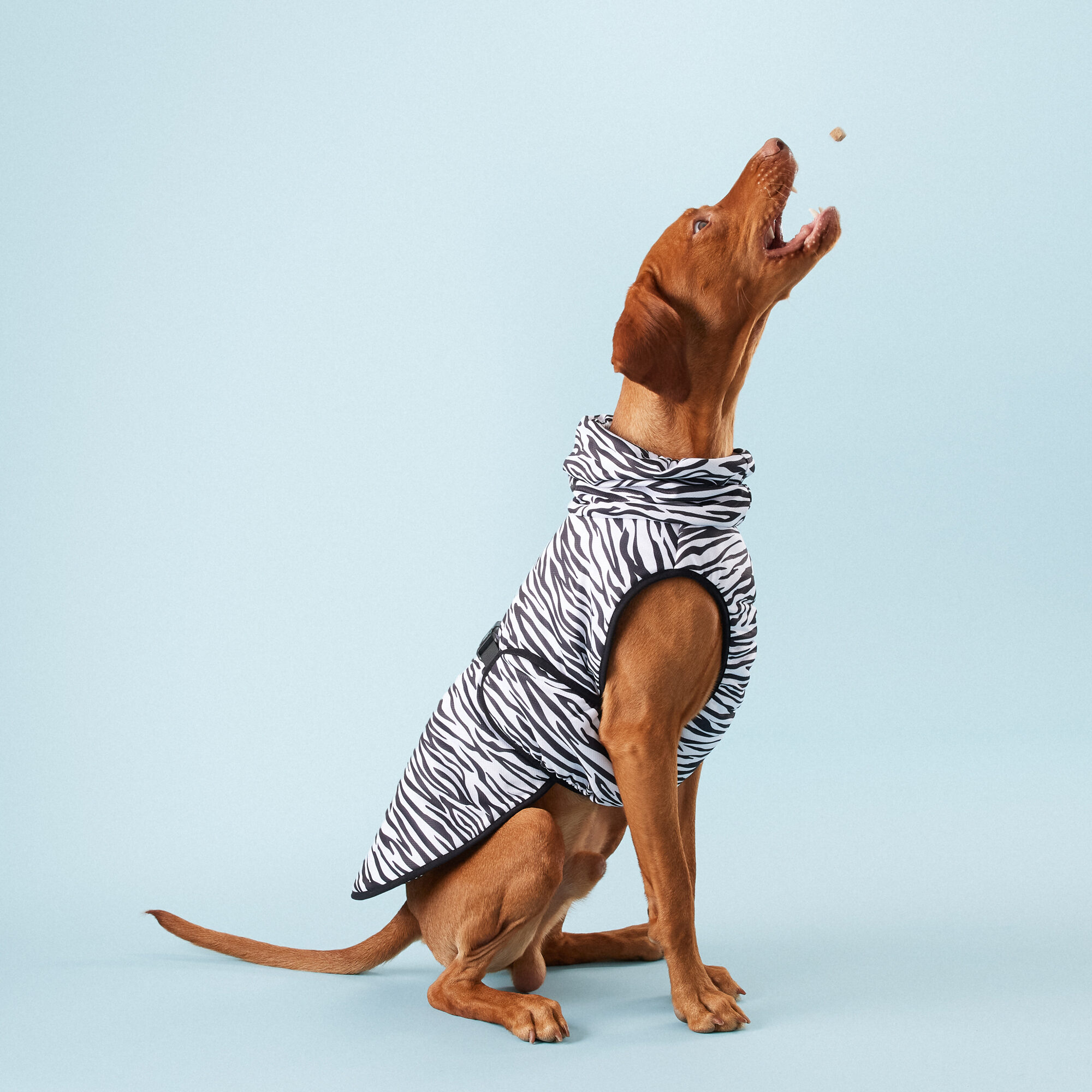 PAIKKA Cool & Bug Vest