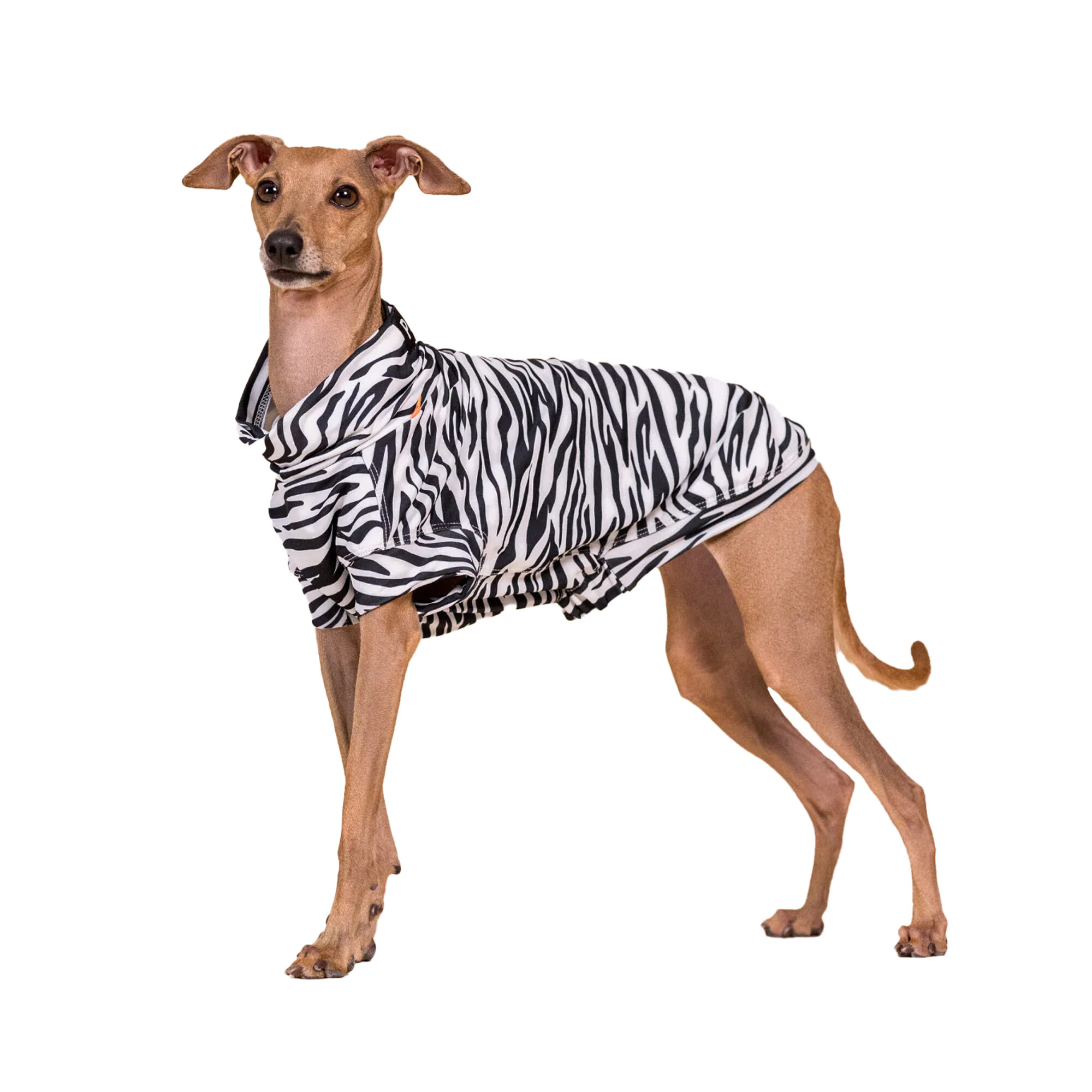 PAIKKA UV & Bug Shirt - 65cm - ZEBRA