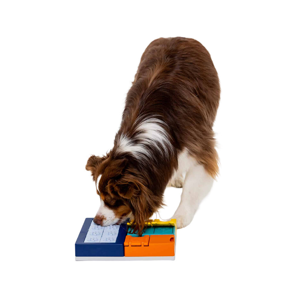 hundespielzeug set nachhaltiges Hundespielzeug 3er Set
