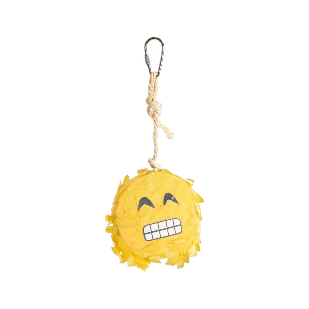 Petlala Emoji Pinata