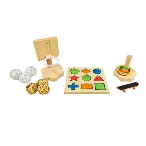 Petlala Papagei Agility Training Set