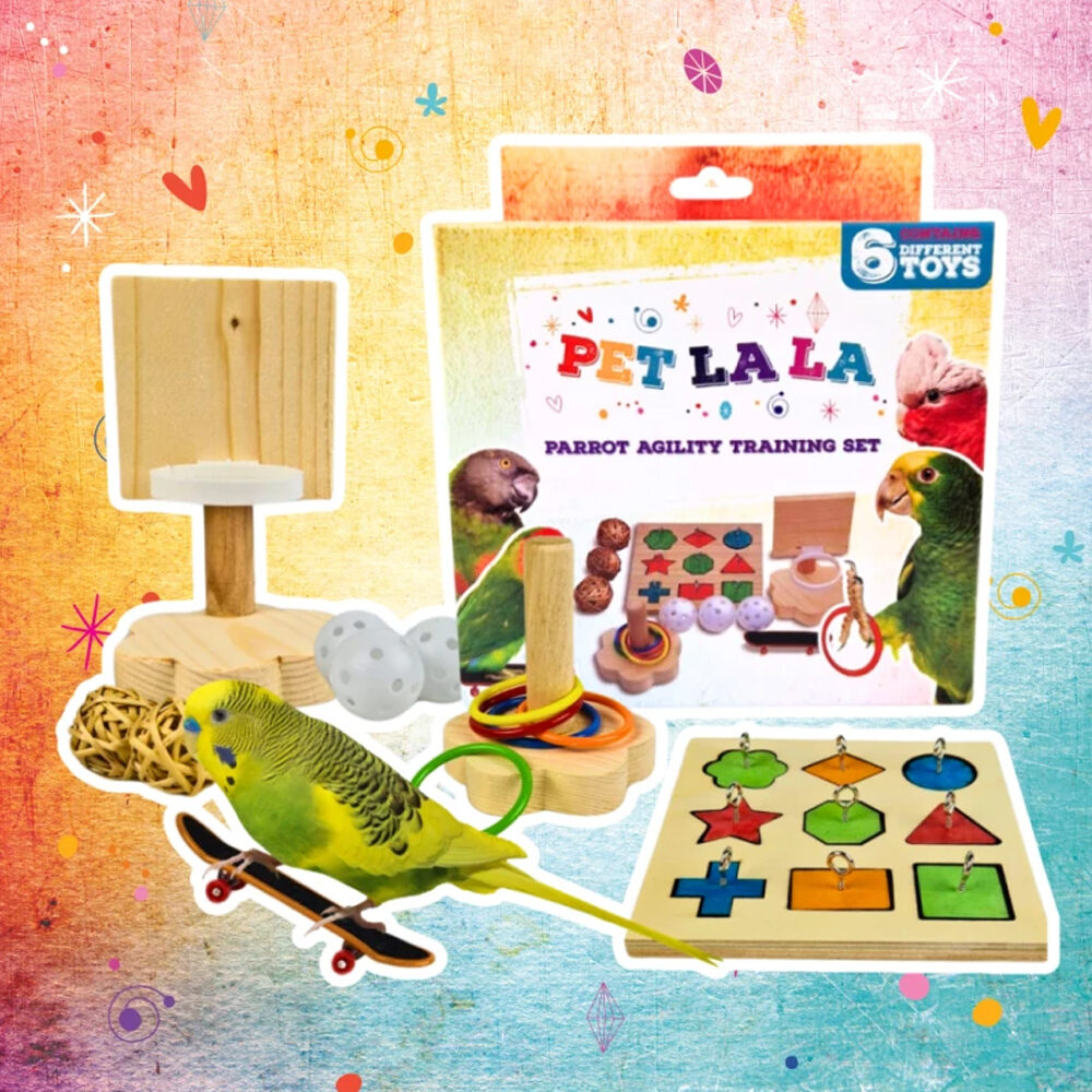 Petlala Papagei Agility Training Set