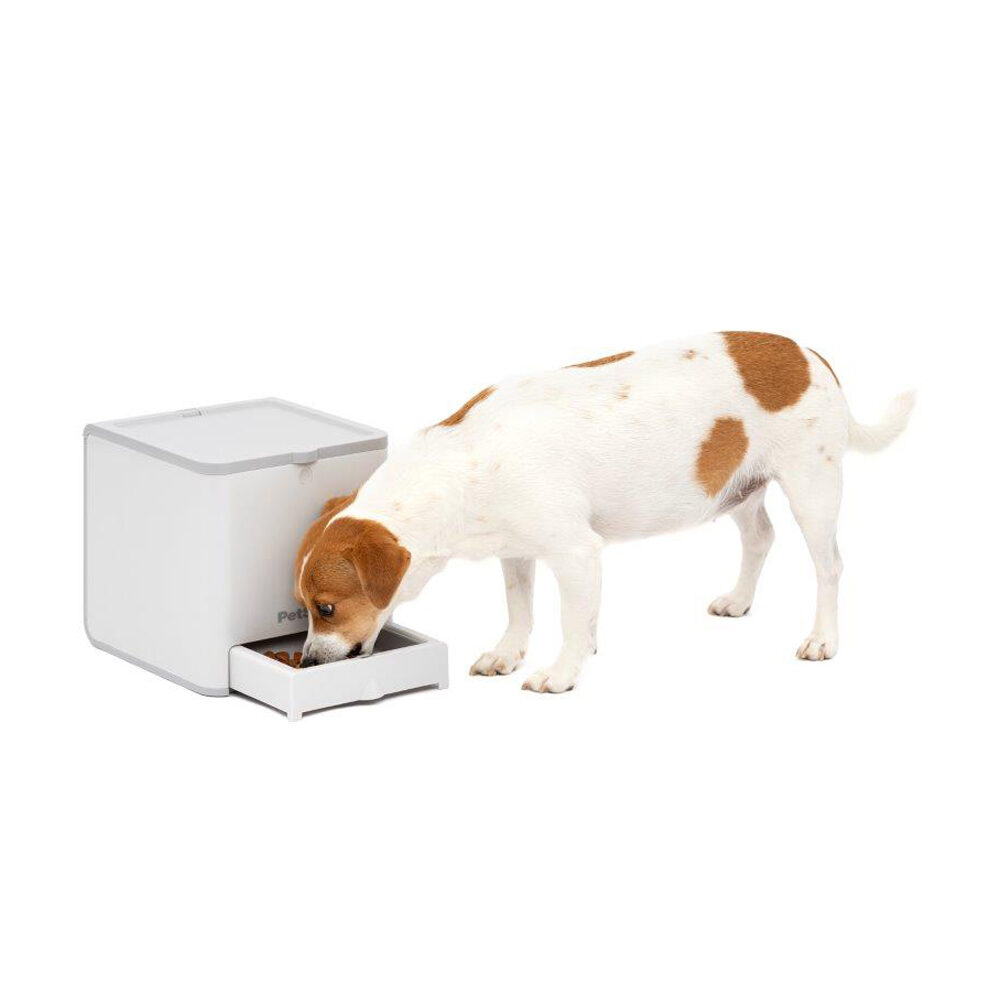 PetSafe Teach & Treat | Hund | Bestellen | Medpets.de