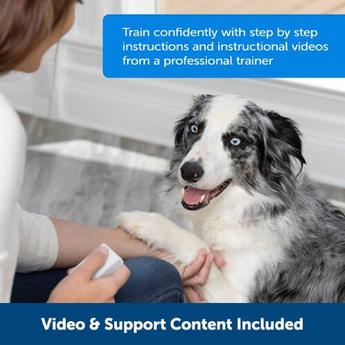 PetSafe Teach & Treat | Dog | Order | Vetsend.co.uk