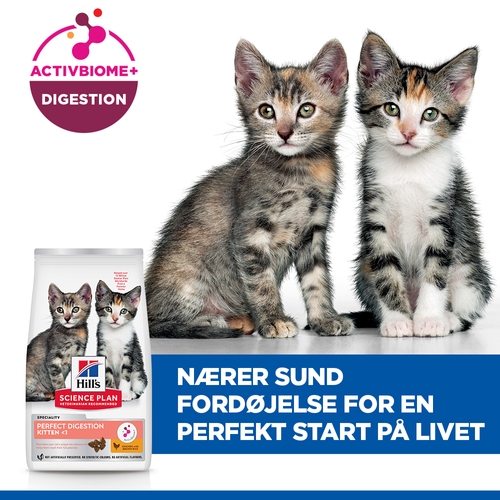Hill's Science Plan Kitten Perfect Digestion Kattefoder
