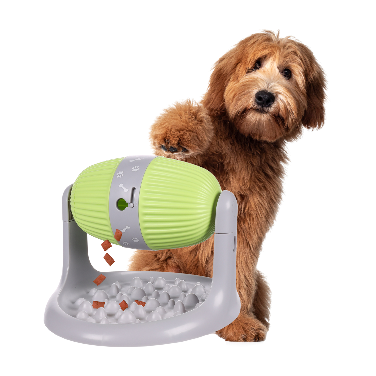hundespielzeug karotte Karotte  Redoggo