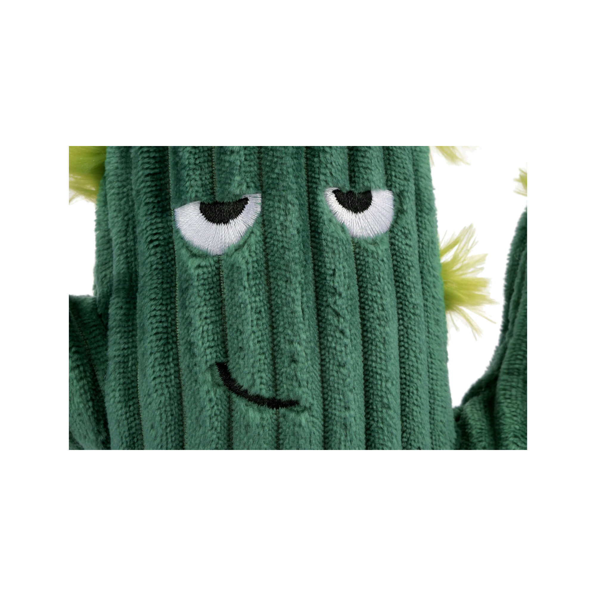 Pet Blooming Buddies Prickly Pup Cactus Order