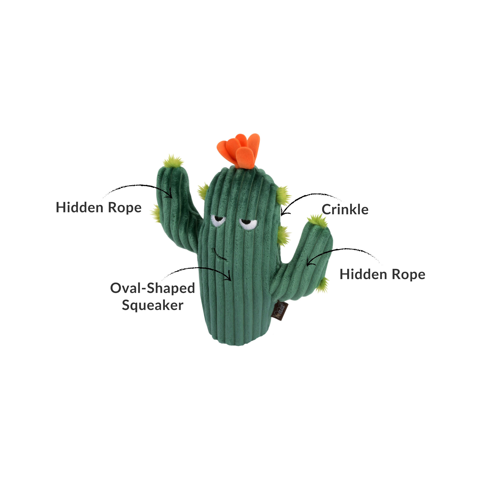 buying prickly pear cactus Prickly Pear Cactus - Opuntia - Great Houseplant - Easy main image 1